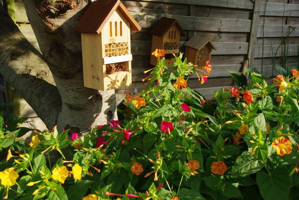 Bed and Breakfast O'Maxethel Soullans Esterno foto